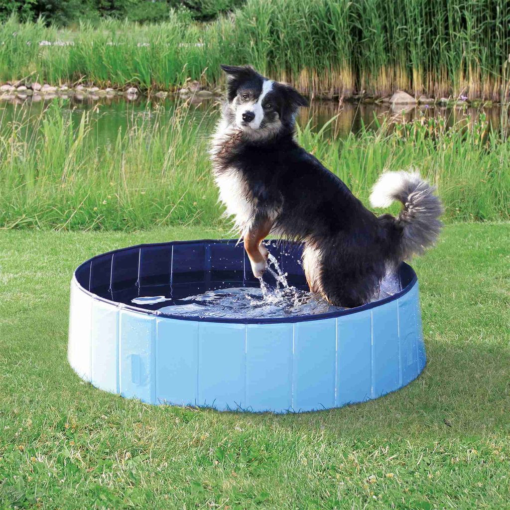 Piscina para perros, ø 70 × 12 cm, Azul Claro/Azul