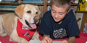 Leer mensaje completo: TRIXIE y "Perros y Letras" fomentando la educación en España