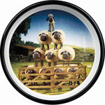 Comedero Cerámico Shaun, 0.8l, ø16 cm, Marrón