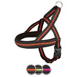 Fusion norwegian harness, S–M: 30–50 cm/25 mm, black/orange