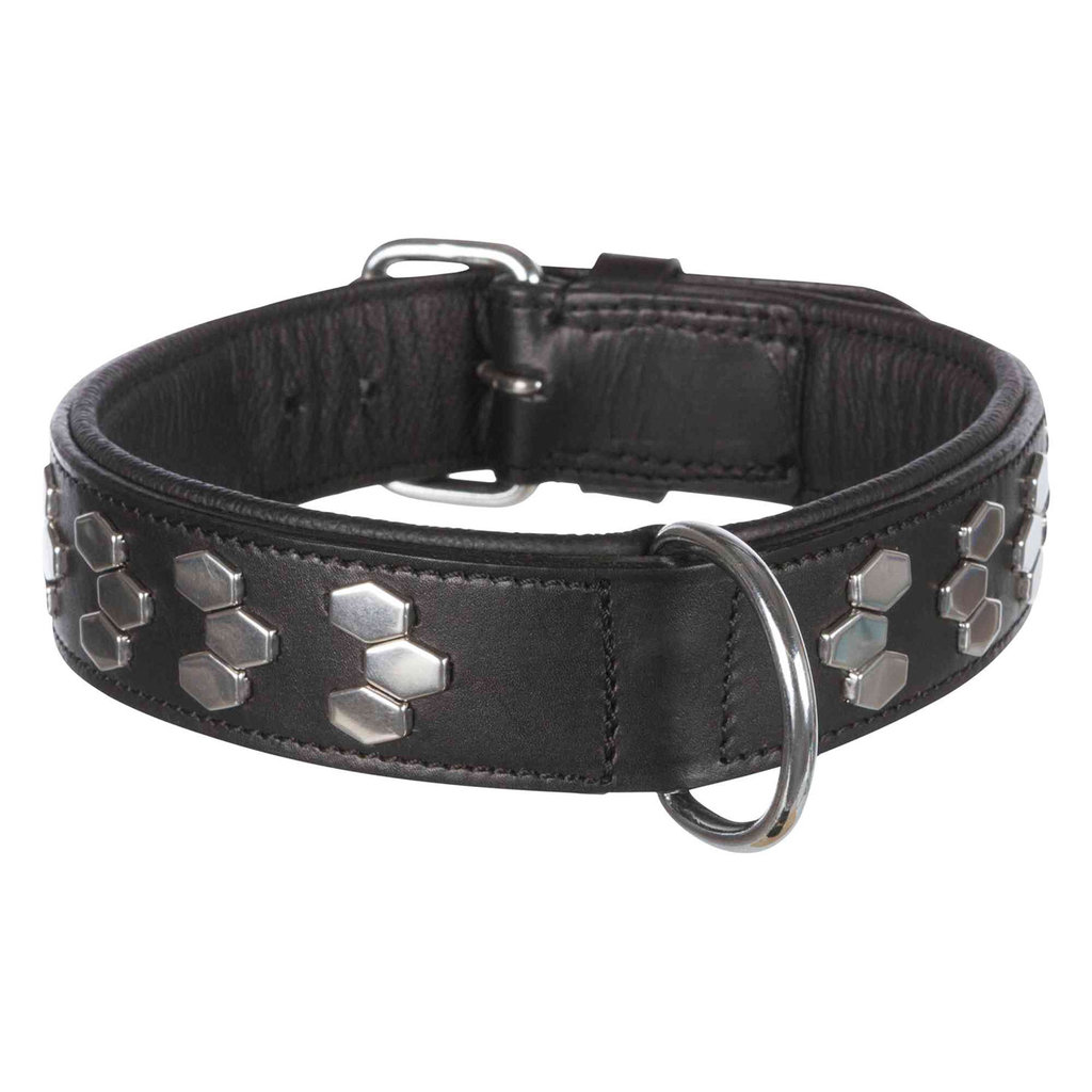 Active collar with studs, M: 38–45 cm/40 mm, black