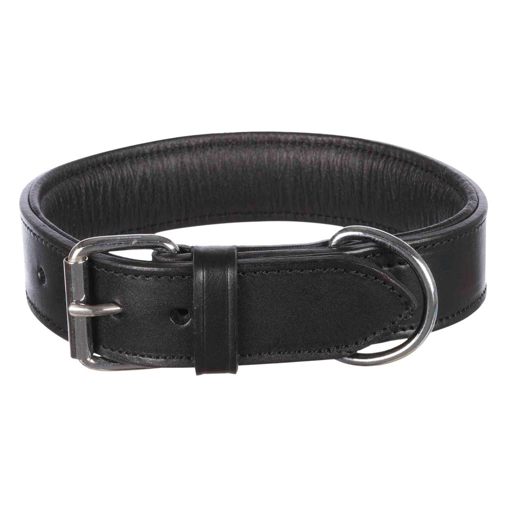 Collar Active, XL, 65-75 cm/40 mm, Negro