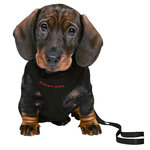 Set Cachorros Acolchado, 26-34 cm/10 mm, 2 m, Negro