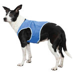 Cooling vest, PVA, XS: 20 cm, blue