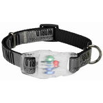 Collar Explore con Flash, L–XL, 40–65 cm/25 mm, Negro-Reflectante