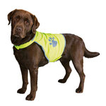 Chaleco de Seguridad Reflectante Perros, XL