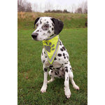 Safer Life neckerchief, XS–S: 22–28 cm