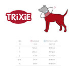 Collar Veterinario, XL: 60-64cm/29cm, Gris