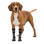 Calcetines Perro Walker, L-XL, 2 uds, Negro/Gris
