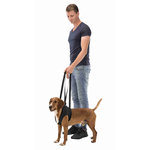 Andador, L-XL, Negro