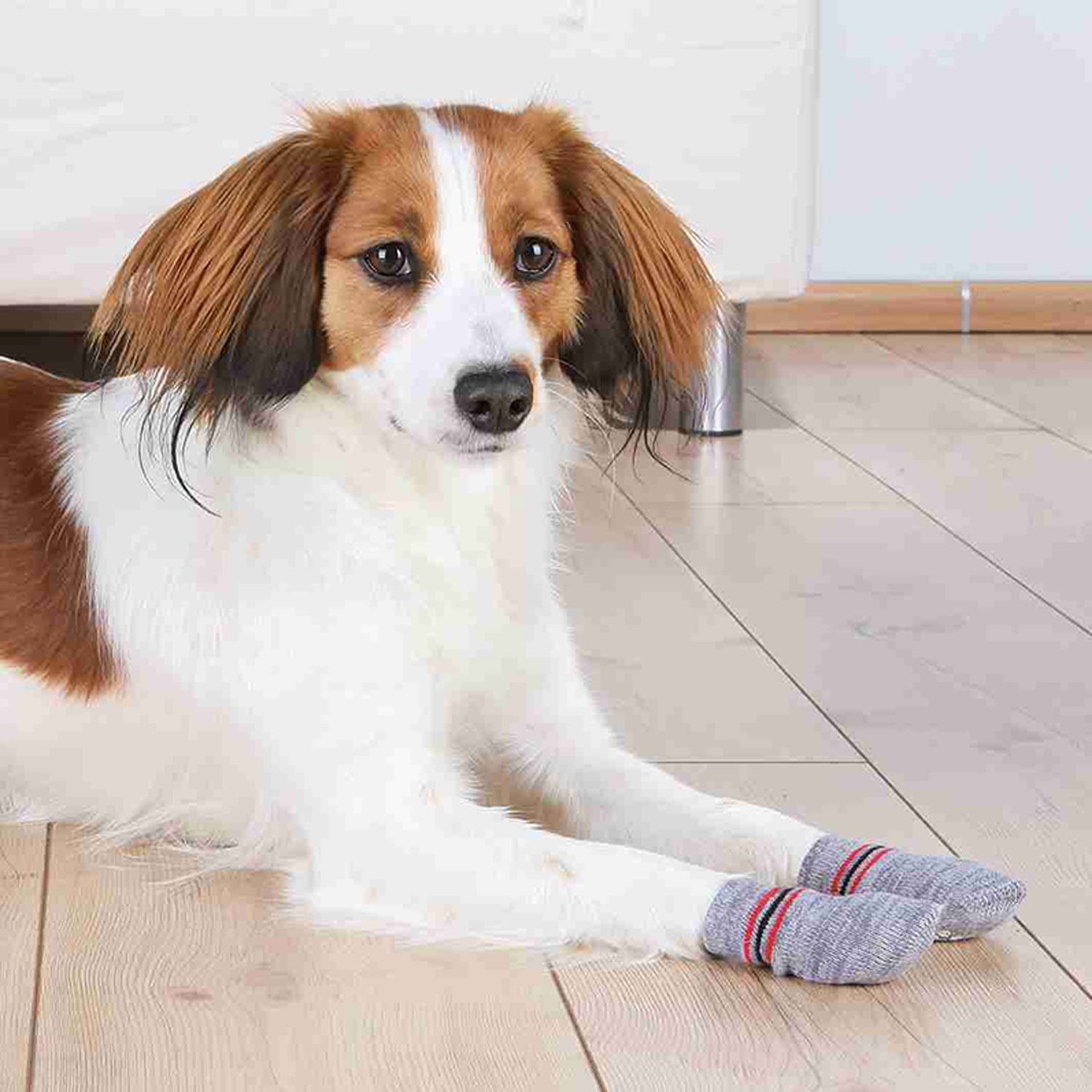 Dog socks non slip XXS XS 2 pcs. grey TRIXIE
