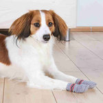 Dog socks, non-slip, XXS–XS, 2 pcs., grey