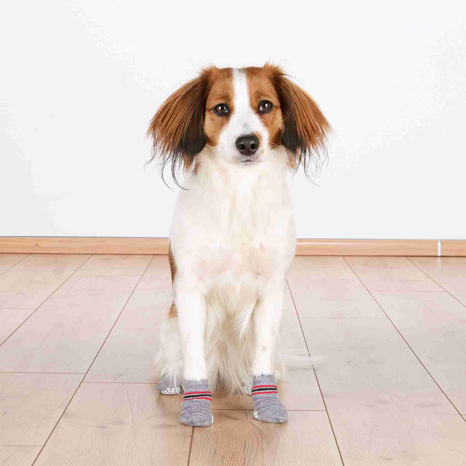 Dog socks non slip XXS XS 2 pcs. grey TRIXIE