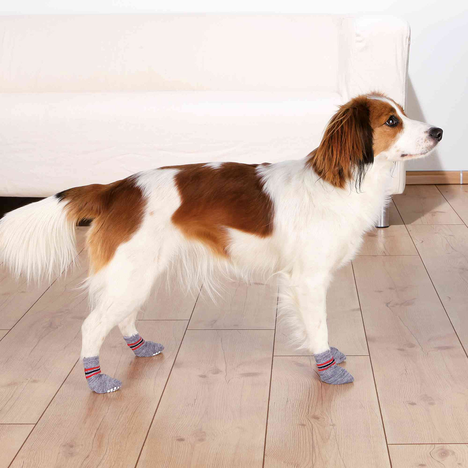 Dog socks non slip XXS XS 2 pcs. grey TRIXIE