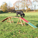 Dog Activity Agility dogwalk, 456 × 64 × 30 cm