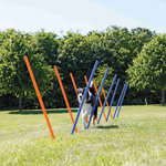 Dog Activity Agility slalom, plastic, ø 3 × 115 cm, blue/orange