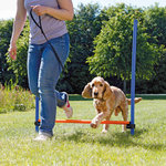 Dog Activity Agility hurdle, plastic, 123 × 115 cm, ø 3 cm, blue/orange