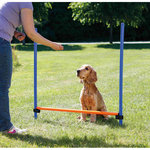 Dog Activity Agility hurdle, plastic, 123 × 115 cm, ø 3 cm, blue/orange