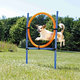 Dog Activity Agility ring, plastic, 115 × ø 3 cm, ø 65 cm, blue/orange