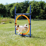 Dog Activity Agility ring, plastic, 115 × ø 3 cm, ø 65 cm, blue/orange