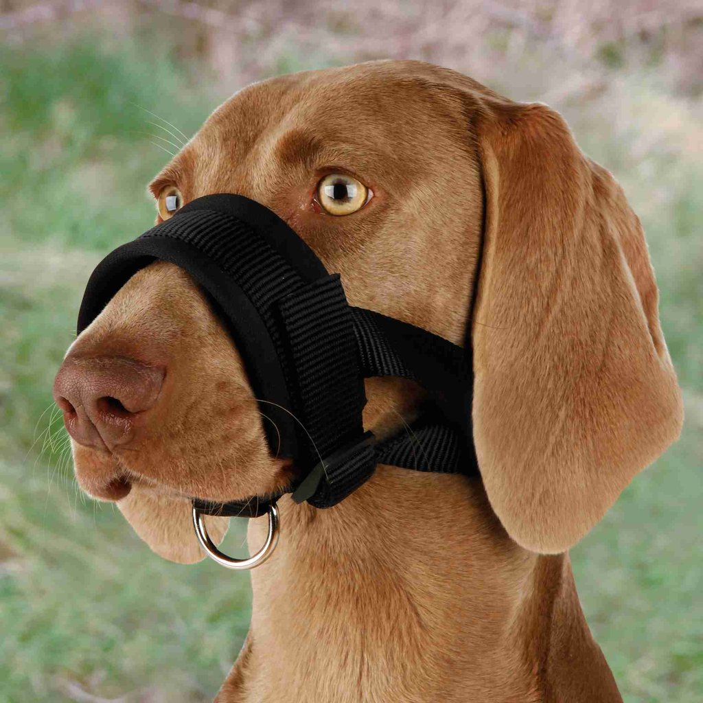 Muzzle loop, nylon, L, black