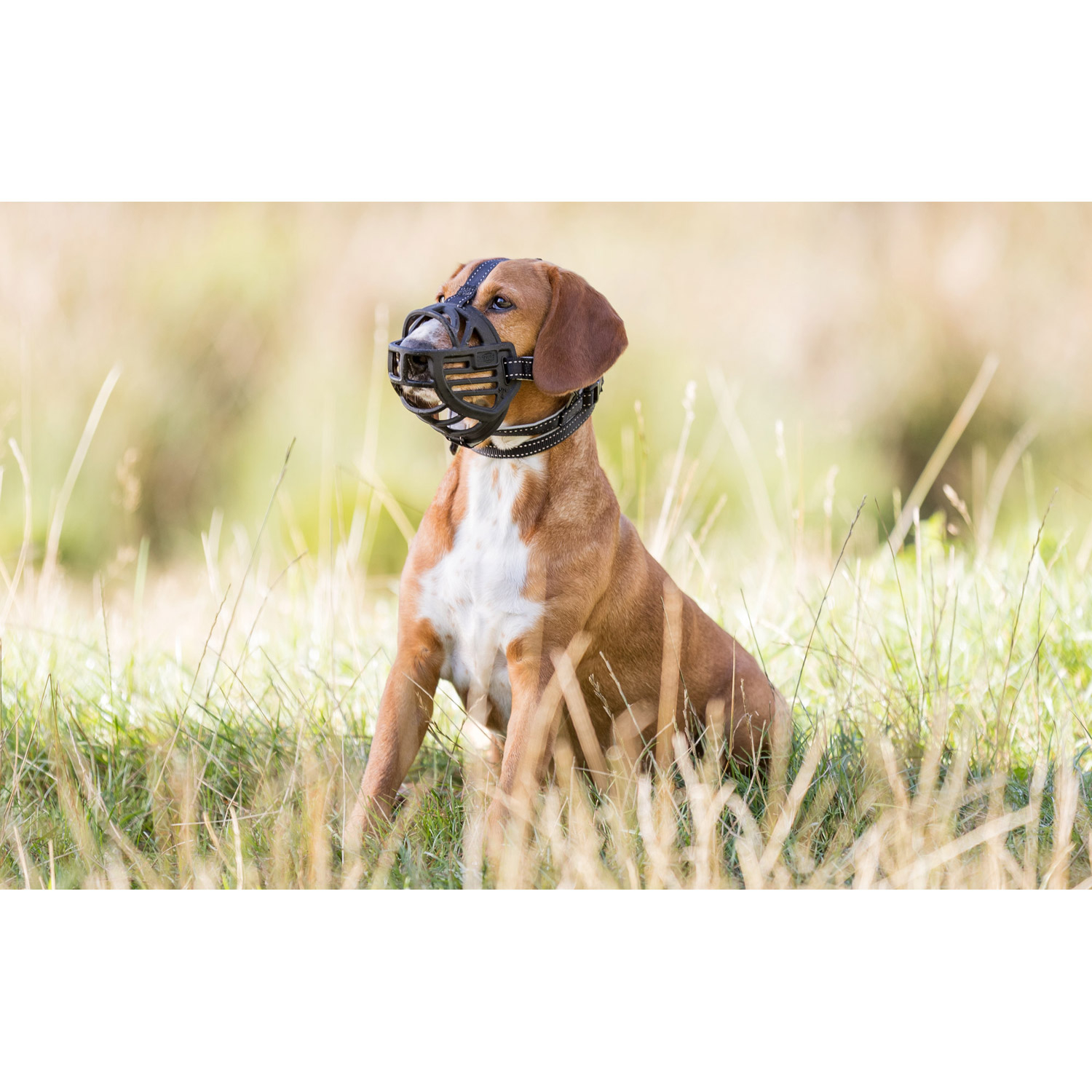 Trixie muzzle flex top