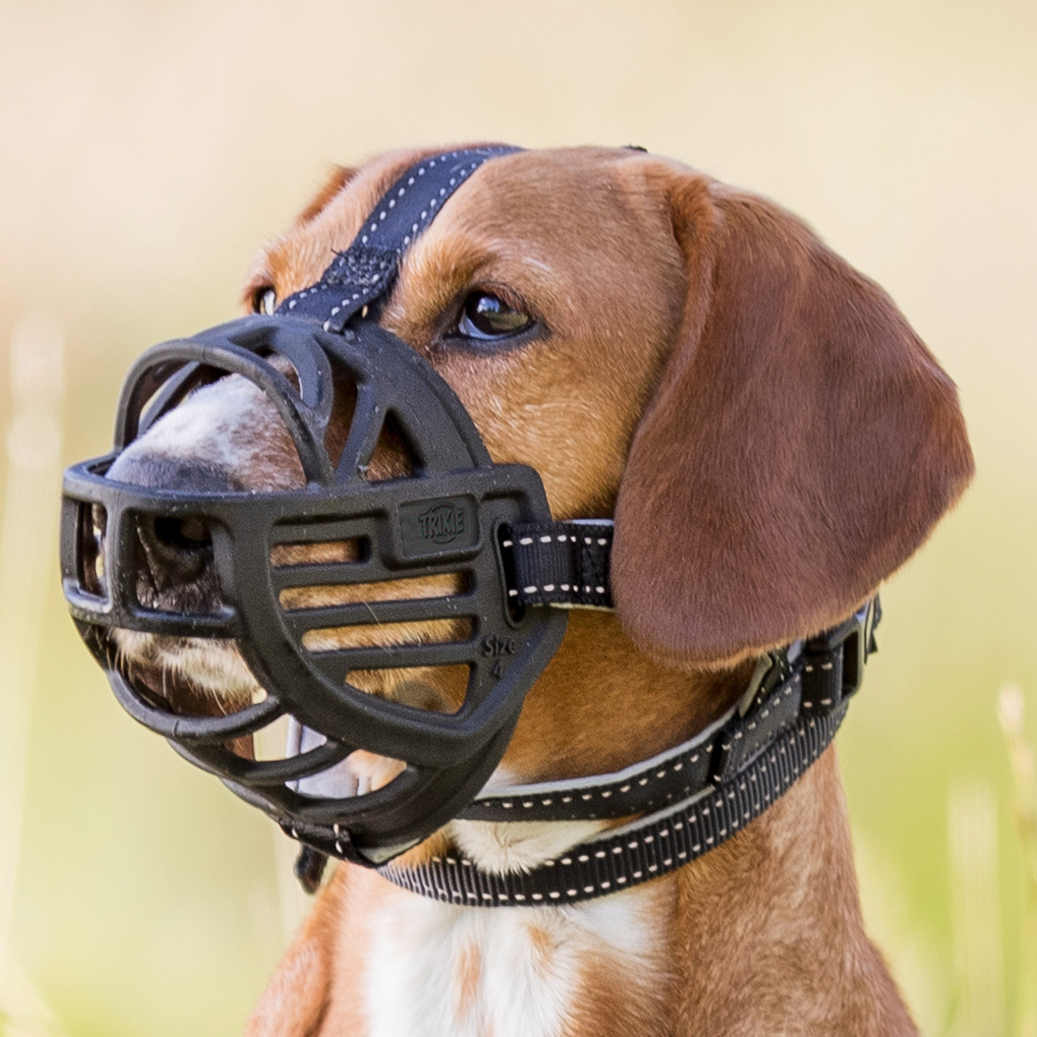 Silicone muzzle deals