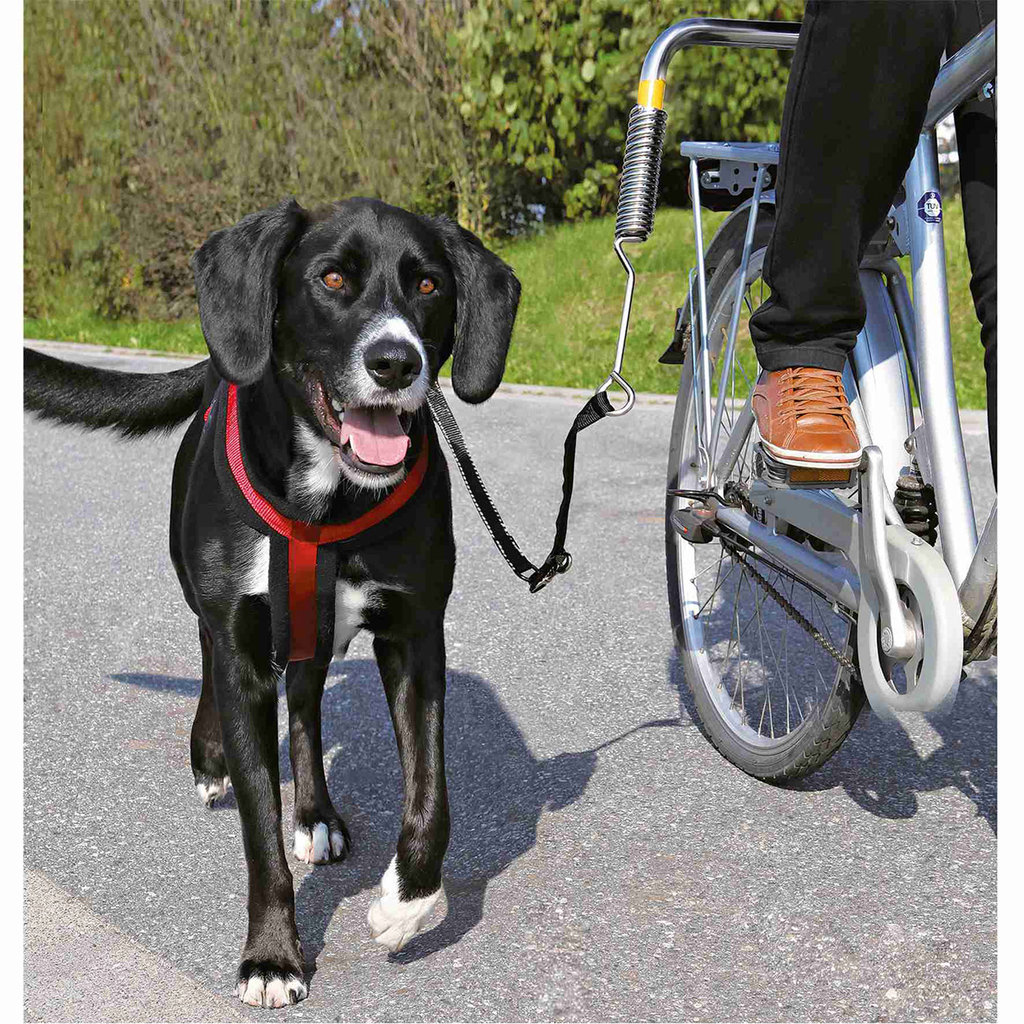 Set Bicicleta De Luxe, Muelle amortiguador