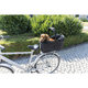 Cesta Bicicletas, Portaequipajes Ancho 29x49x60 cm, Negro