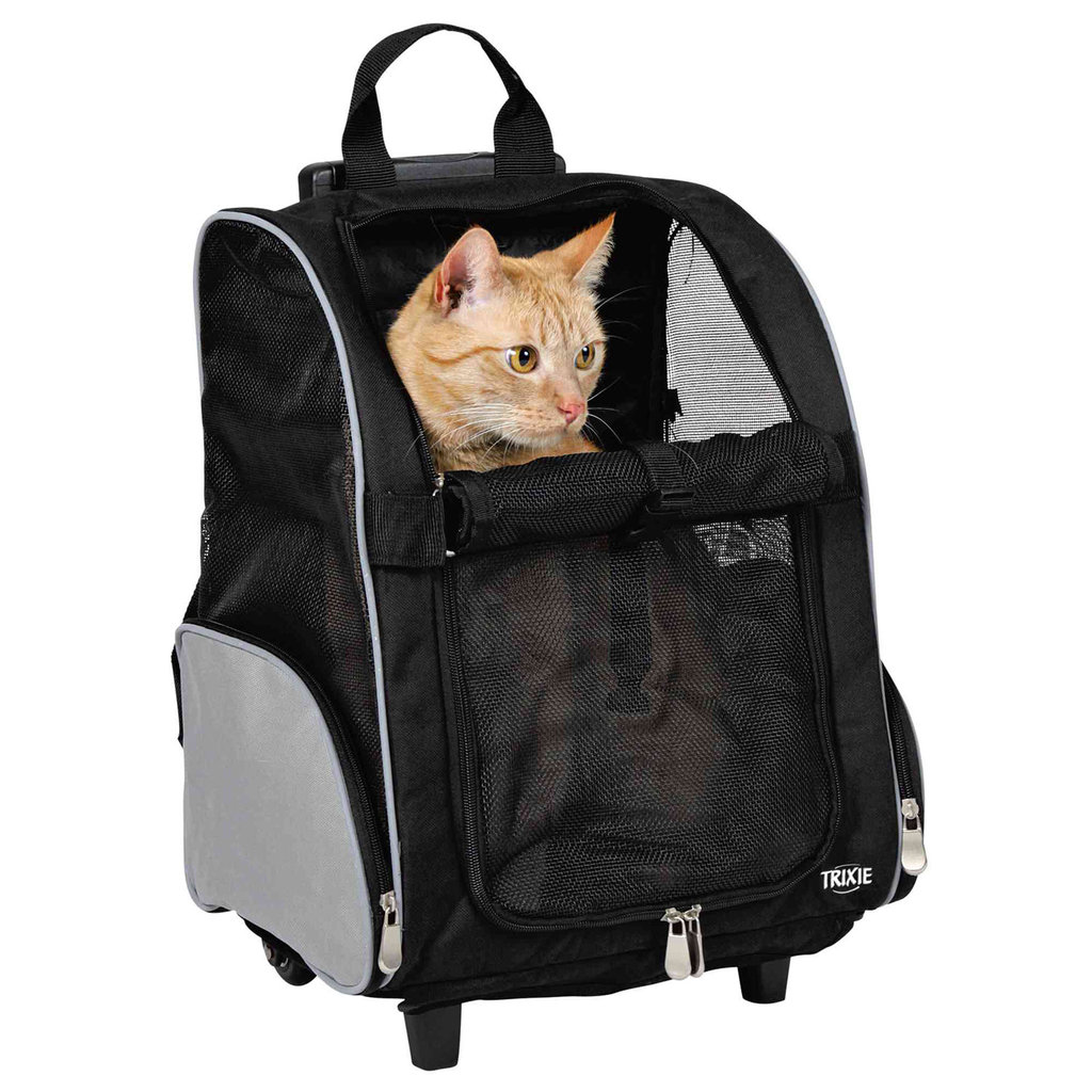 Bolsos, Mochilas y Bolsas