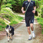 Jogging leash, 1.33–1.80 m/20 mm, grey/green