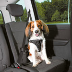 Dog comfort car harness, S–M: 40–55 cm/17 mm, black