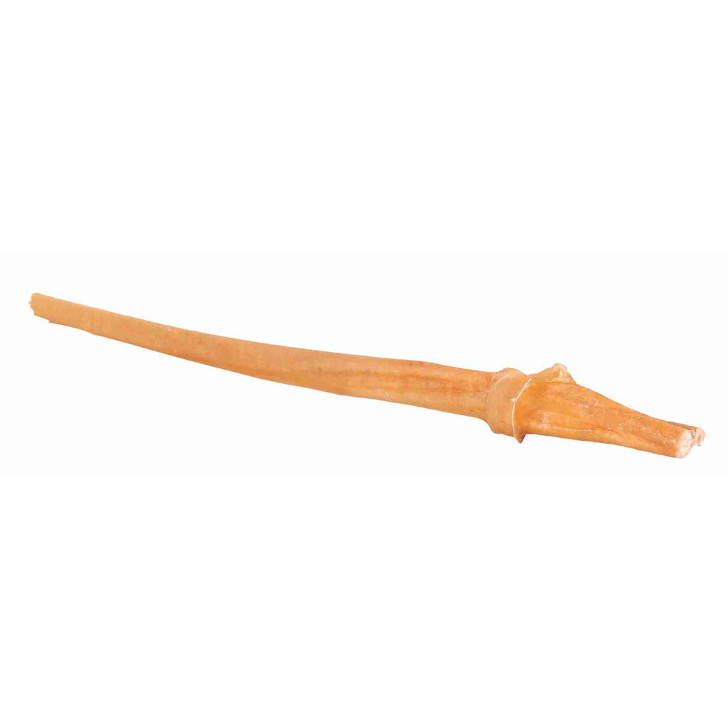 Nervio de Toro, Natural, 30 cm, Granel