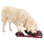 Dog Activity Sniffing Carpet, 50 × 34 cm