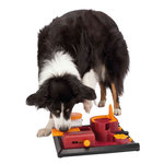 Dog Activity Poker Box 2, 31 × 10 × 31 cm, Nivel 2