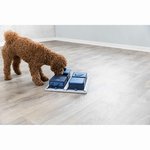 Dog Activity Poker Box 1, 31 × 31 cm