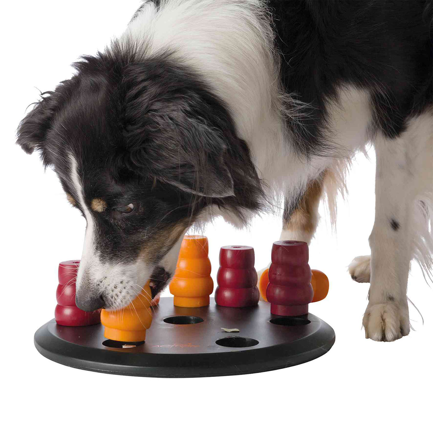 Juguete para Perros Accesorios para Perros Dog Activity Turn Around 22x33x18 cm Nivel 2 Trixie Dog Activity Juego Interactivo 