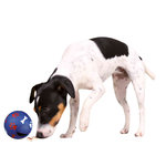 Dog Activity Snacky, Pelota Snacks, ø7 cm, Nivel 1