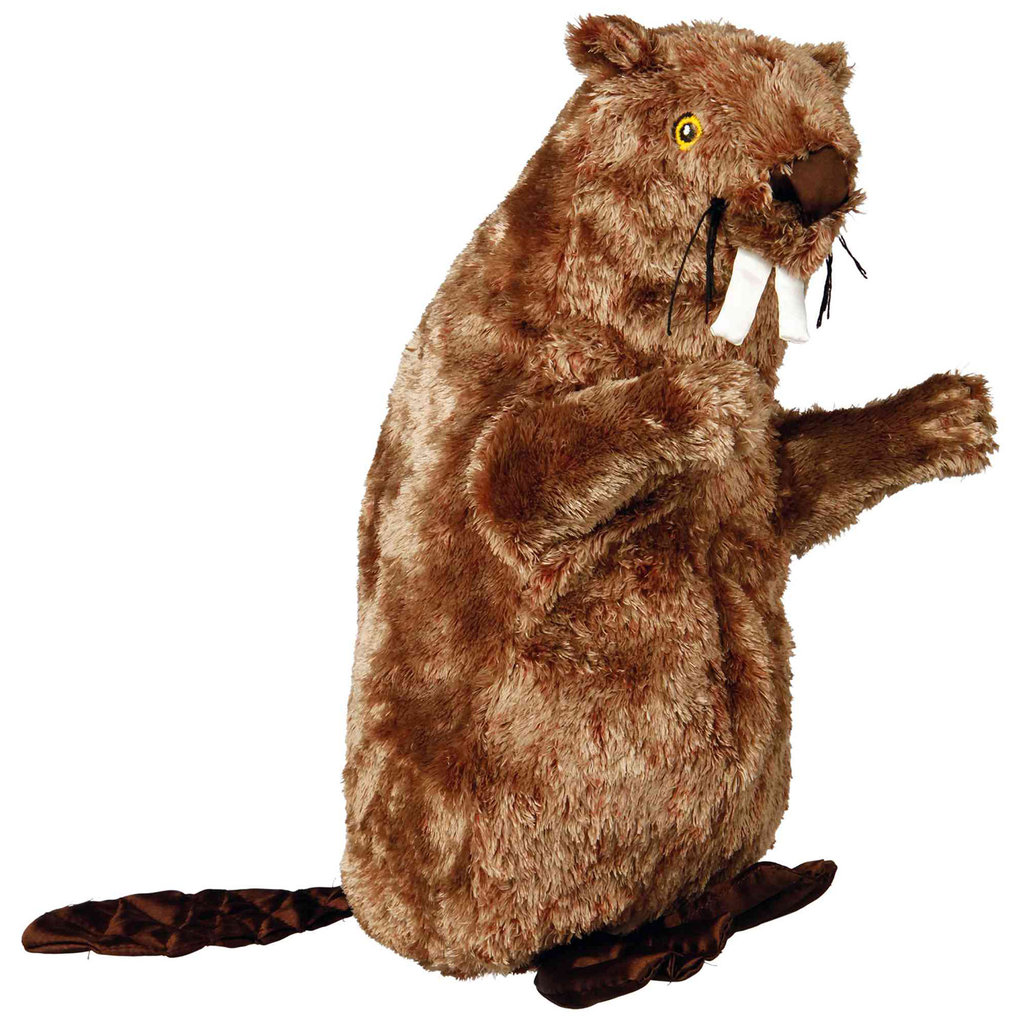 Castor, Peluche, 40 cm