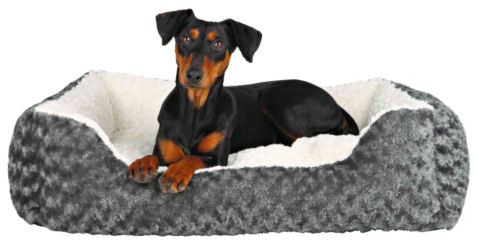 Cojín Trixie Kaline Para Perros – Tamaño 54x35 Cm, Color Crema/gris, Funda De Felpa Y Relleno De Fibra De Poliéster