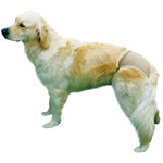 Braguitas perros, L, 50-59 cm, Beige