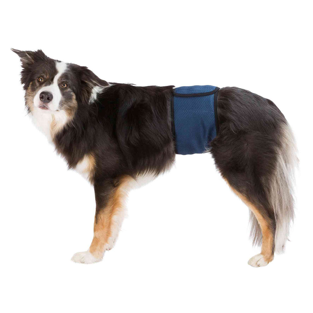 Banda Abdomen Perros Macho, XL, 65–75 cm, Azul Oscuro