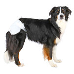 Diapers for female dogs, XS–S: 20–28 cm, 12 pcs.