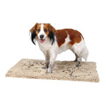 Alfombrilla Absorbe-suciedad, 100 × 70 cm, Beige