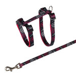 Cat harness with leash, nylon, 27–45 cm/10 mm, 1.20 m