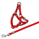 Cat harness with leash, nylon, 26–37 cm/10 mm, 1.20 m