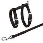 Cat harness with leash, nylon, 22–42 cm/10 mm, 1.25 m