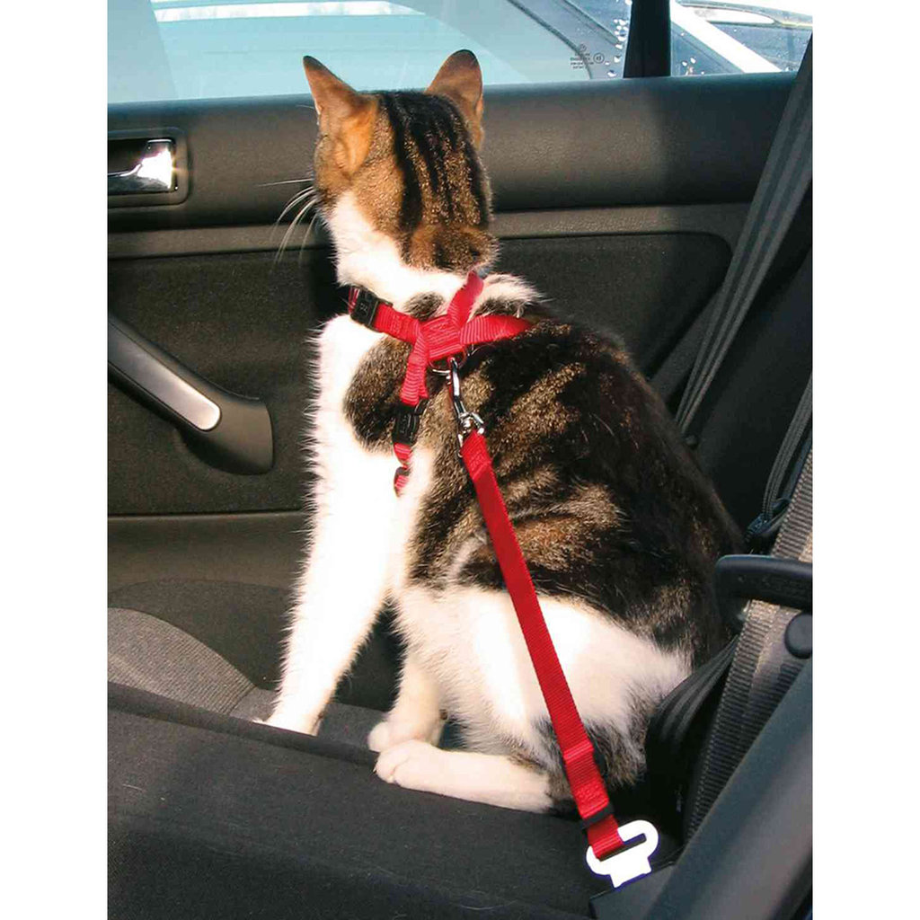 Arnés y Cinturón seguridad Gatos, 20-50 cm, Rojo