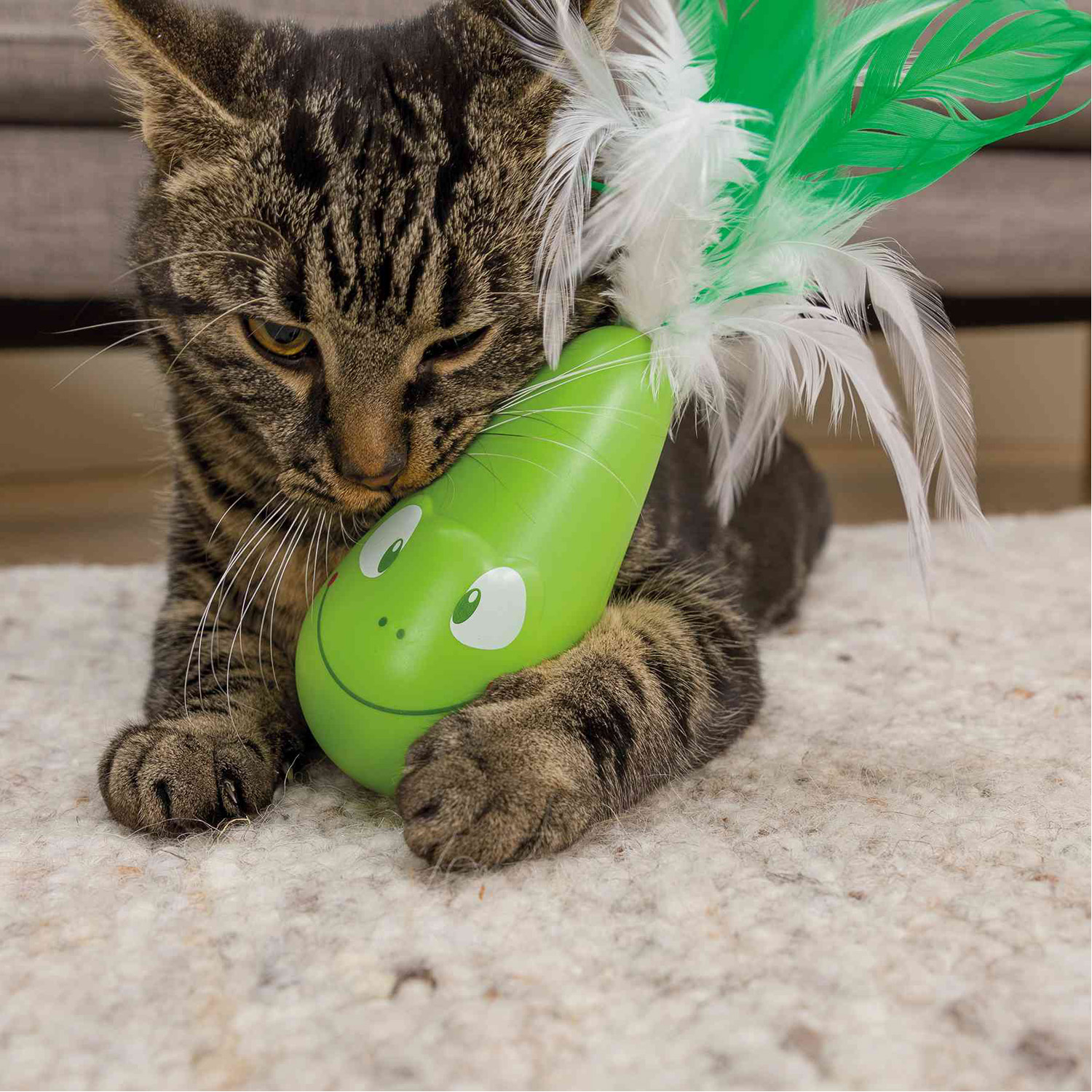 Pop up frog toy online