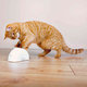 Feather Hider, with motion sensor, 15 × 7 × 8 cm